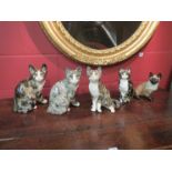 Five Winstanley cats