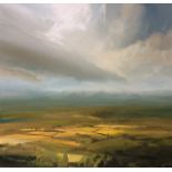 "Numerous Fields" by James Naughton