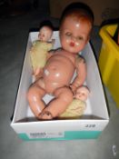 A pedigree open mouthed doll & 2 small dolls