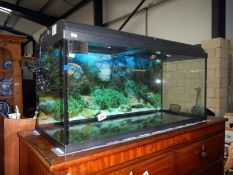 A 160 litre aquarium