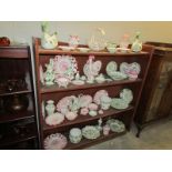 4 shelves of Portuguese pottery