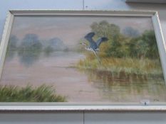 An oil on board study of a heron signed B Cox