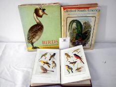 Birds of Heath and Marshland,