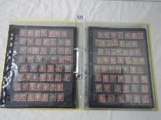 Stamps - Album of approximately 300 Penny Red stamps