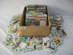 Postcards - A quantity of Brooke Bond tea cards in books and loose