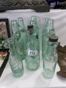 6 'cod' bottles and 3 others