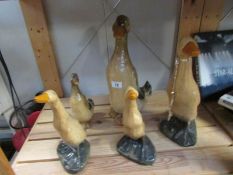 5 duck ornaments