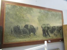 A David Shepherd elephant print