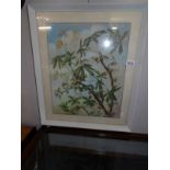 A framed and glazed watercolour botanical study by G M Brough (Lincolnshire artist)