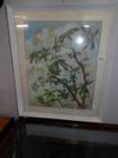 A framed and glazed watercolour botanical study by G M Brough (Lincolnshire artist)