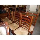 A set of 8 ladder back chairs