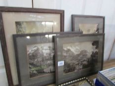 4 framed and glazed prints