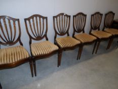 A set of 6 mahogany dining chairs