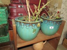 A pair of ceramic planters