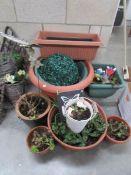 A quantity of ceramic and other plant pots etc