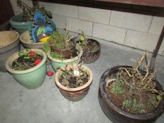 7 pottery planters and 2 plastic pots