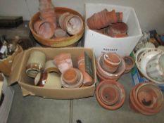 A large quantity of terracotta plant pots