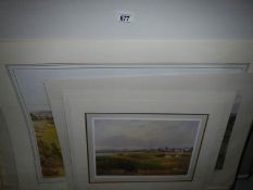 24 prints in 2 folios - golf and gun dog subjects,