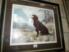 A framed and glazed John Tricket limited edition print of a black labrador,