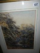 A framed and glazed watercolour woodland scene,