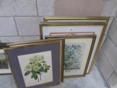 5 botanical prints