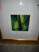 A framed and glazed jungle leaf print,