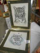 2 framed and glazed sketches of wild cats, signed Magda,