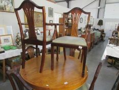 A set of 6 dining chairs including 2 carvers