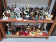 A large quantity of trophies