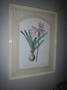 A print of orchids