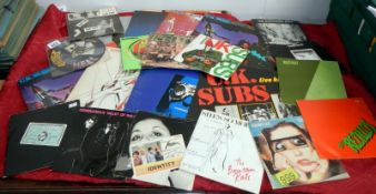 Fifteen 45rpm & 8 LP punk records including coloured vinyl & picture disc etc.