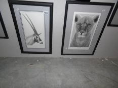 2 framed and glazed limited edition prints 'Arabian Oryx' and 'Spirit of Elsa'