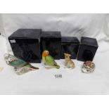 4 boxed Royal Crown Derby figures being red faced lovebird, sky blue budgerigar,