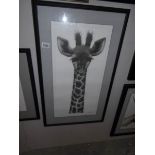 A framed and glazed limited edition print of a giraffe by Gary Hodges,