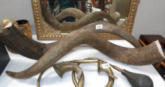 A pair of buffalo horns