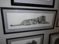 A framed and glazed limited edition print 'Supreme Siberian Tiger' by Gary Hodges,