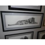 A framed and glazed limited edition print 'Supreme Siberian Tiger' by Gary Hodges,