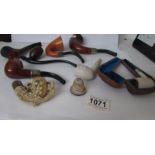 8 pipes including porcelain, clay and briar examples,