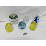 6 glass paperweights including Welsh