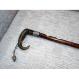 A walking stick with horn handle and silver collar