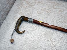 A walking stick with horn handle and silver collar