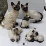5 Beswick Siamese cats (one has small chip to ear)