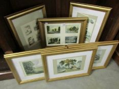 6 framed and glazed prints