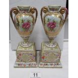 A pair of 19th century Austrian urns on stands