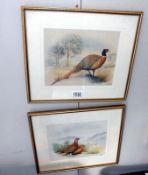 A pair of framed and glazed game bird prints