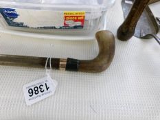 A horn handled walking stick with gold band