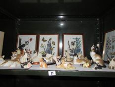 A shelf of cat ornaments and pictures