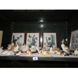 A shelf of cat ornaments and pictures