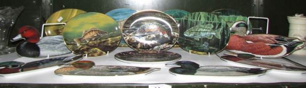 8 collectors plated depicting fish and 6 plates in the shape of ducks