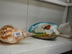 2 conch shell and a hand painted coconut shell